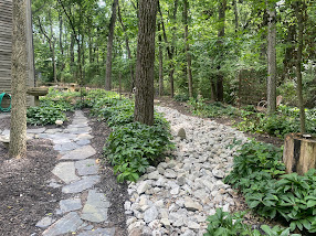 Winding stone path through a shaded woodland garden